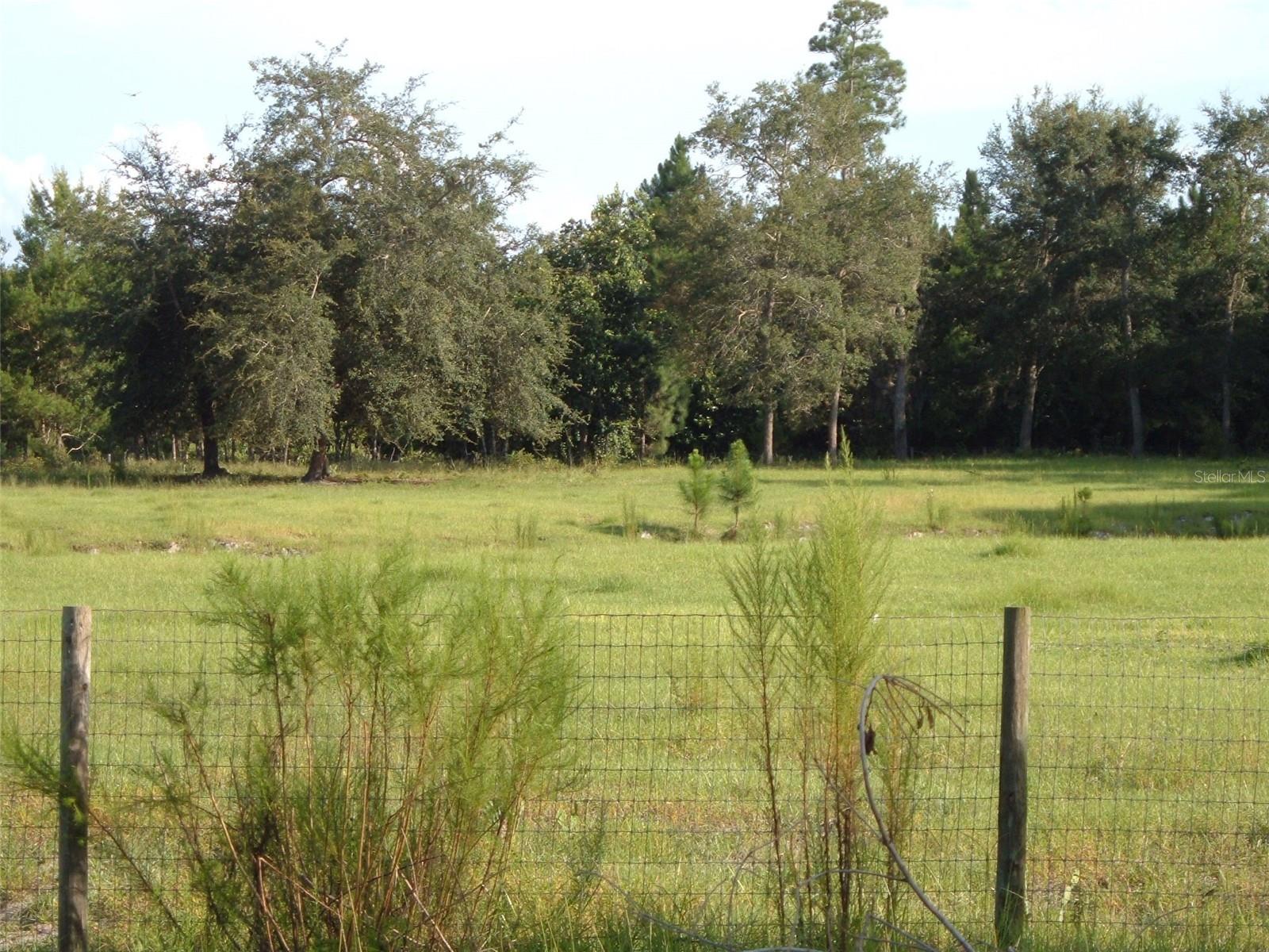 900 BUCKLES ROAD