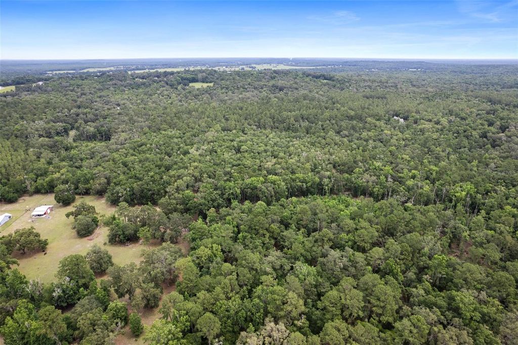 Photo of Old Crystal River Road, Brooksville, FL 34601 (MLS # W7881789)