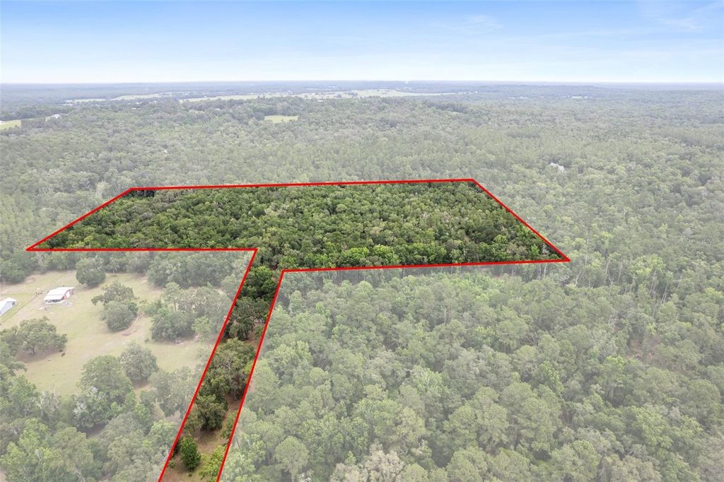 Photo of Old Crystal River Road, Brooksville, FL 34601 (MLS # W7881789)