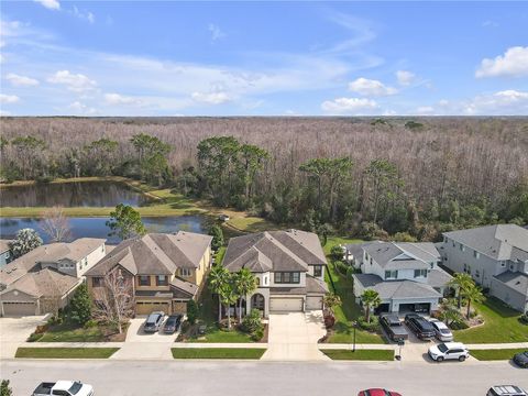 A home in LAND O LAKES