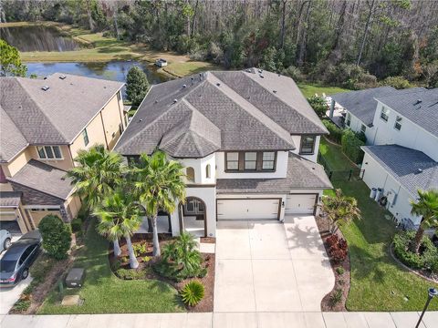 A home in LAND O LAKES