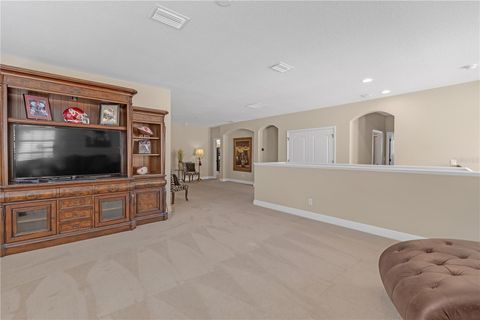 A home in LAND O LAKES