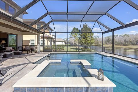 A home in LAND O LAKES