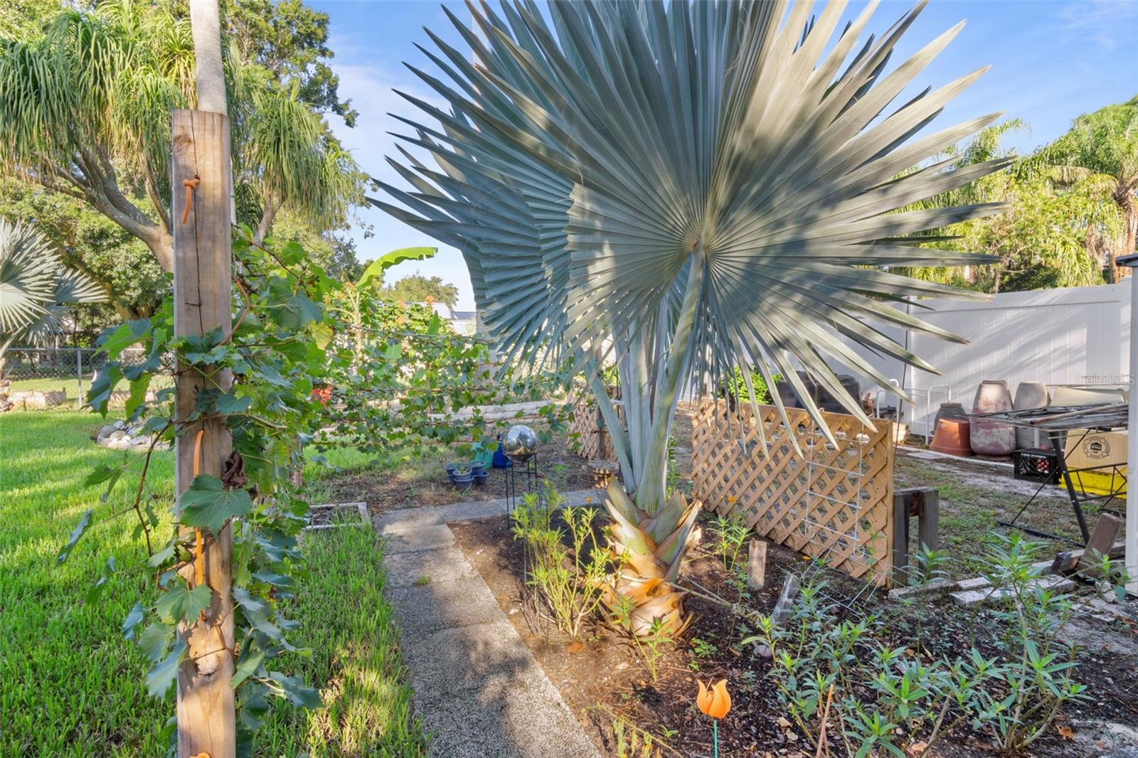 ELOISE WOODS EAST LAKE MARIAM UNIT - Residential