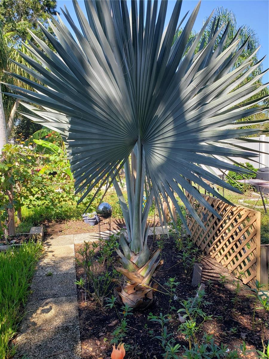 ELOISE WOODS EAST LAKE MARIAM UNIT - Residential