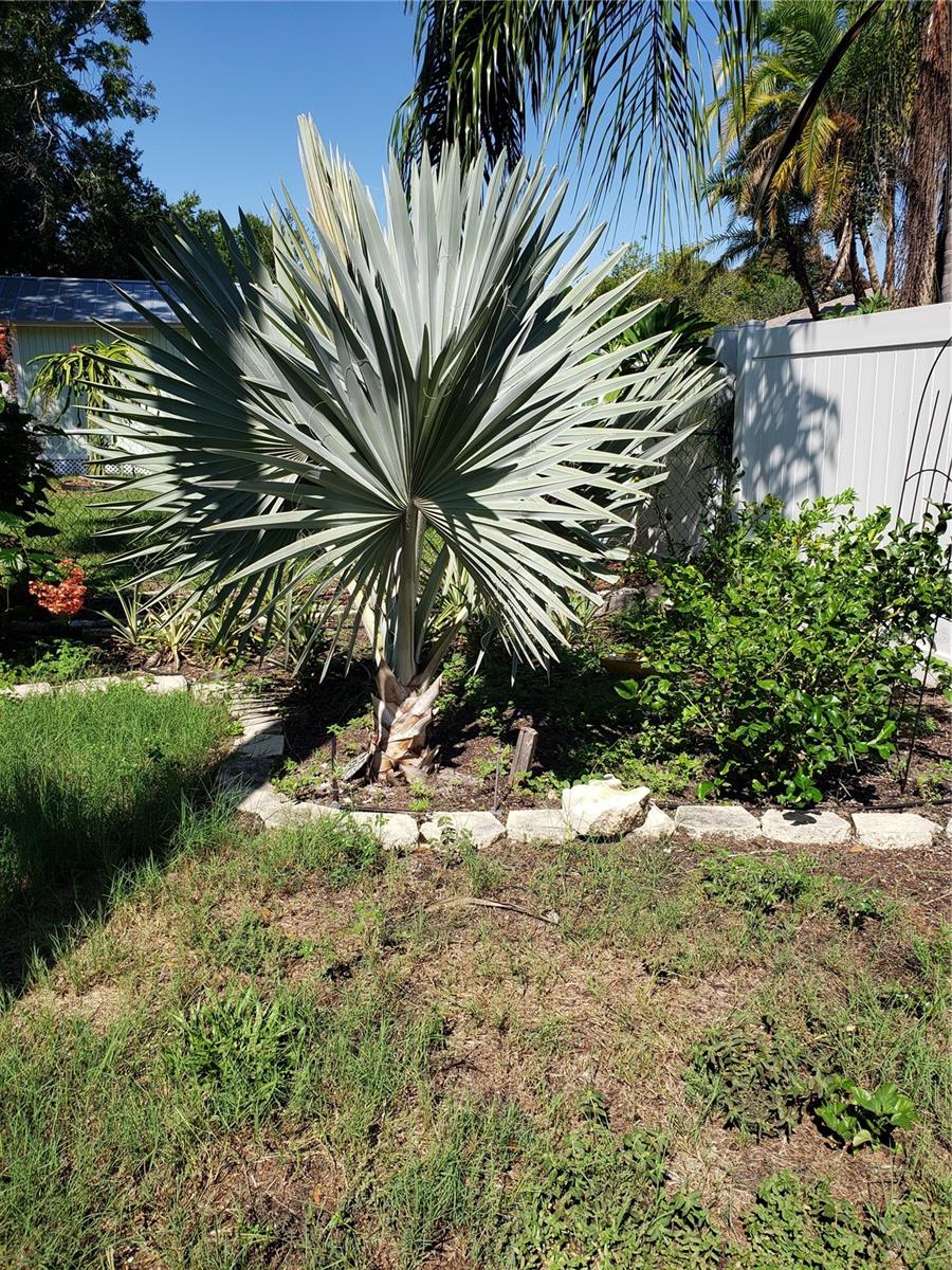 ELOISE WOODS EAST LAKE MARIAM UNIT - Residential