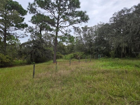 Tiny photo for 6535 N Ewok Point, Dunnellon, FL 34433 (MLS # TB8554612)