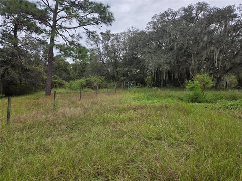 Tiny photo for 6535 N Ewok Point, Dunnellon, FL 34433 (MLS # TB8554612)