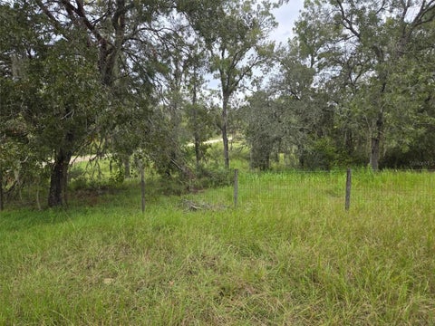 Tiny photo for 6535 N Ewok Point, Dunnellon, FL 34433 (MLS # TB8554612)