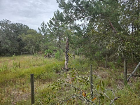 Tiny photo for 6535 N Ewok Point, Dunnellon, FL 34433 (MLS # TB8554612)