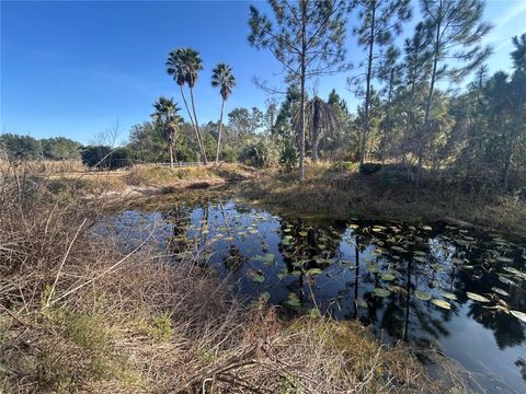 Tiny photo for 12714 State Road 33, Groveland, FL 34736 (MLS # OM716324)