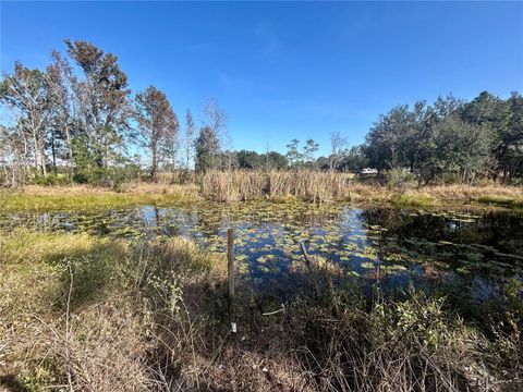 Tiny photo for 12714 State Road 33, Groveland, FL 34736 (MLS # OM716324)