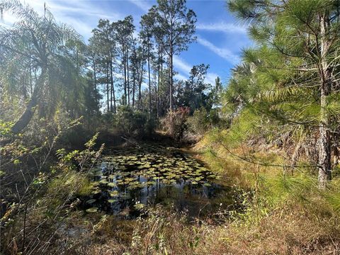 Tiny photo for 12714 State Road 33, Groveland, FL 34736 (MLS # OM716324)