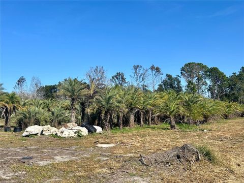 Tiny photo for 12714 State Road 33, Groveland, FL 34736 (MLS # OM716324)