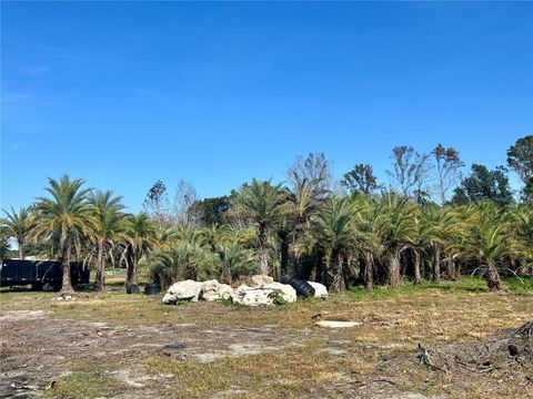 Tiny photo for 12714 State Road 33, Groveland, FL 34736 (MLS # OM716324)