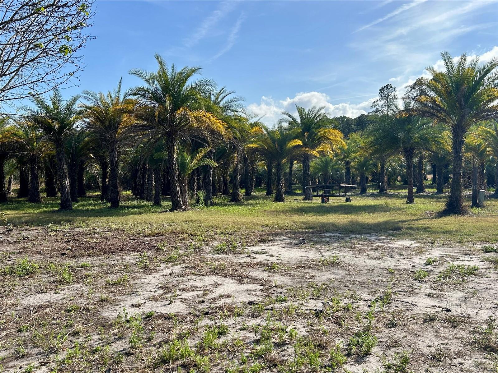 EDGES SUB - Residential