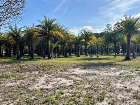 Tiny photo for 12714 State Road 33, Groveland, FL 34736 (MLS # OM716324)