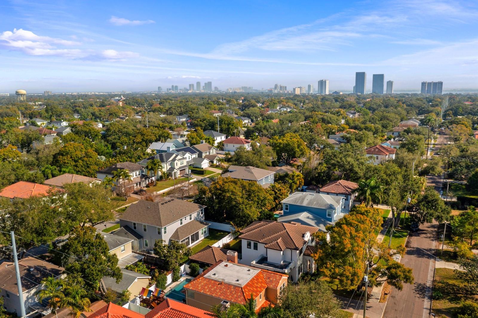 VIRGINIA PARK - Residential