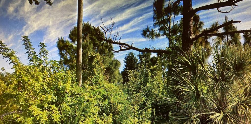 Photo of 11329 Rockwell Avenue, Englewood, FL 34224 (MLS # W7880373)