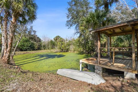 A home in TITUSVILLE