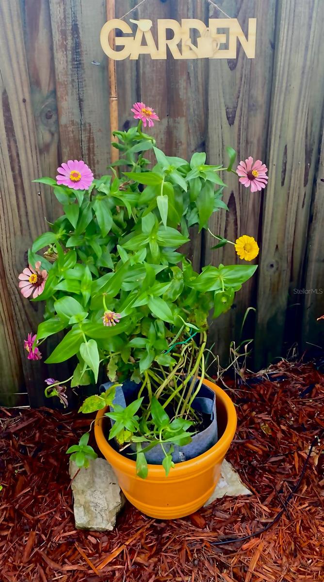 Suncrest - Residential