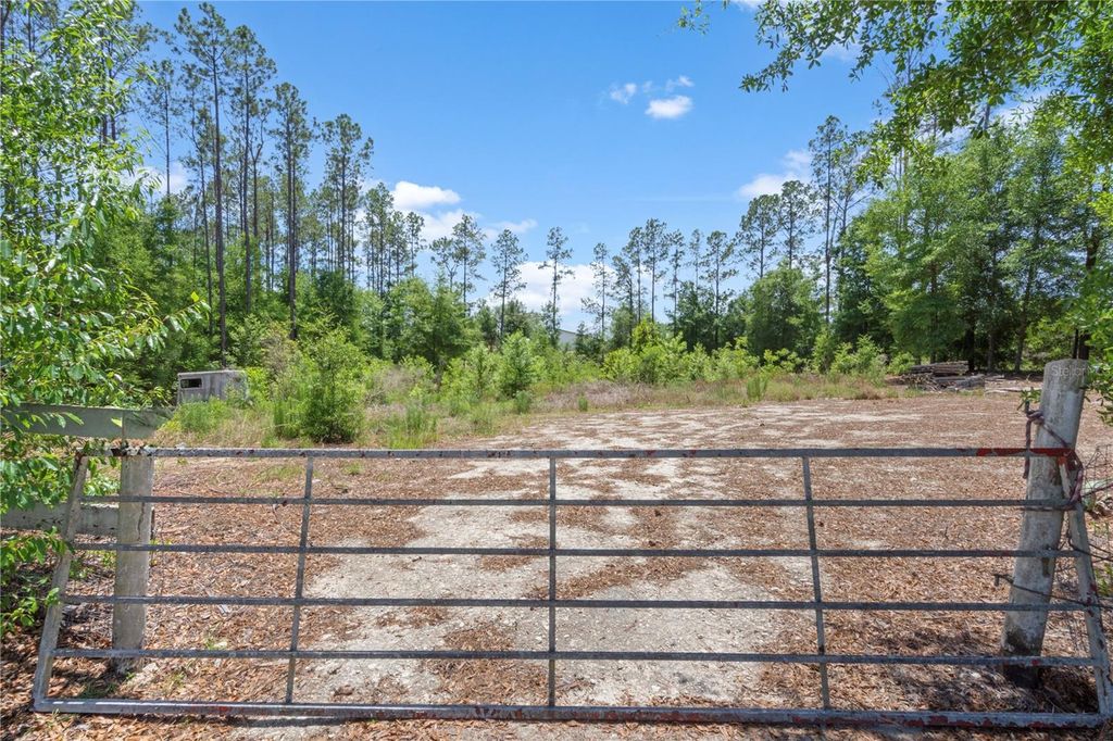 Photo of 17950 SE 60th Lane, Morriston, FL 32668 (MLS # OM724225)