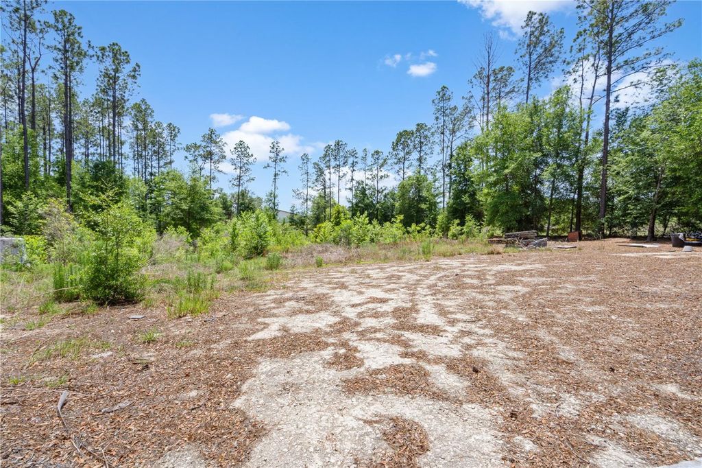Photo of 17950 SE 60th Lane, Morriston, FL 32668 (MLS # OM724225)