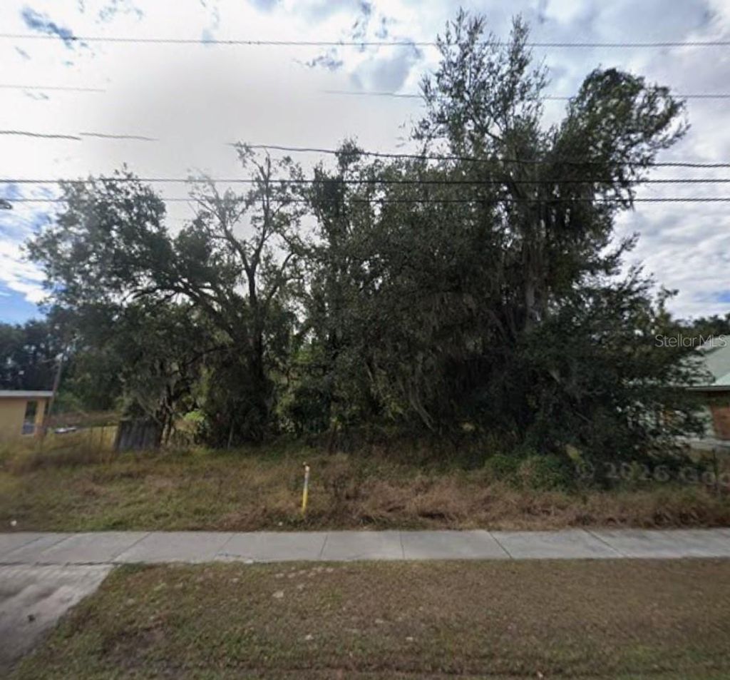 Photo of S Church Avenue S, Fort Meade, FL 33841 (MLS # L4963803)