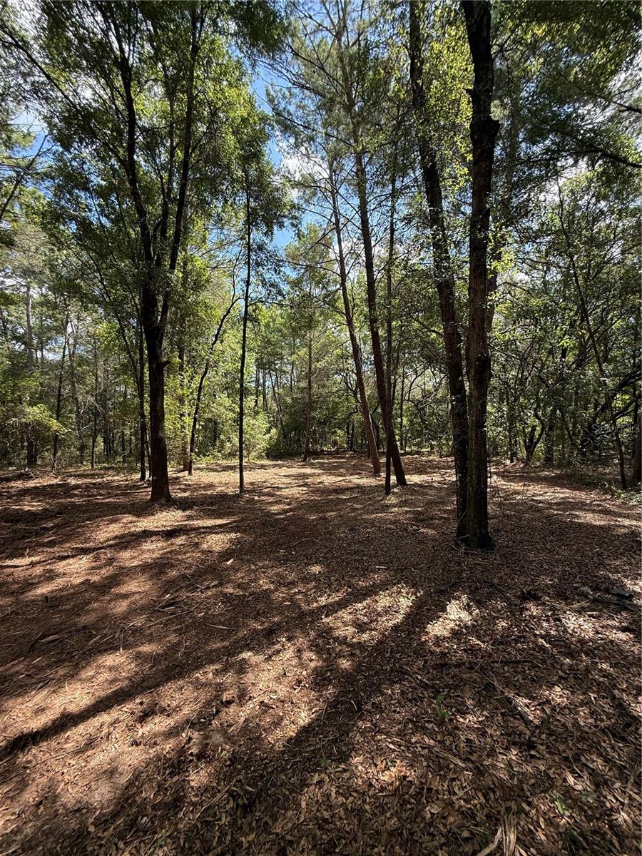 INTERLACHEN LAKES ESTATES - Land