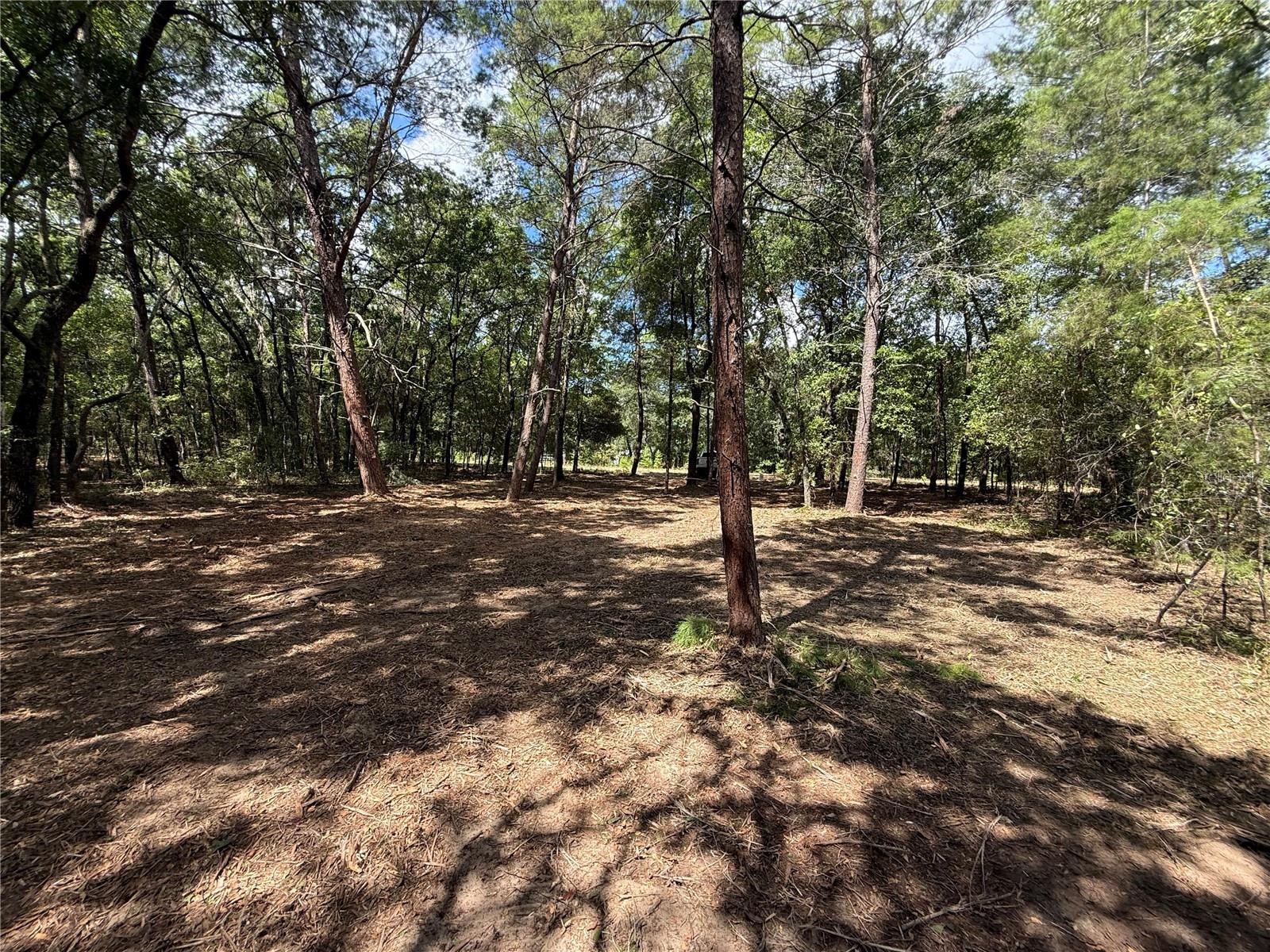 INTERLACHEN LAKES ESTATES - Land