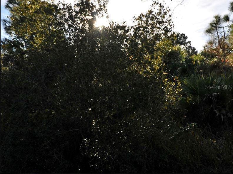 PORT CHARLOTTE SUB 47 - Land