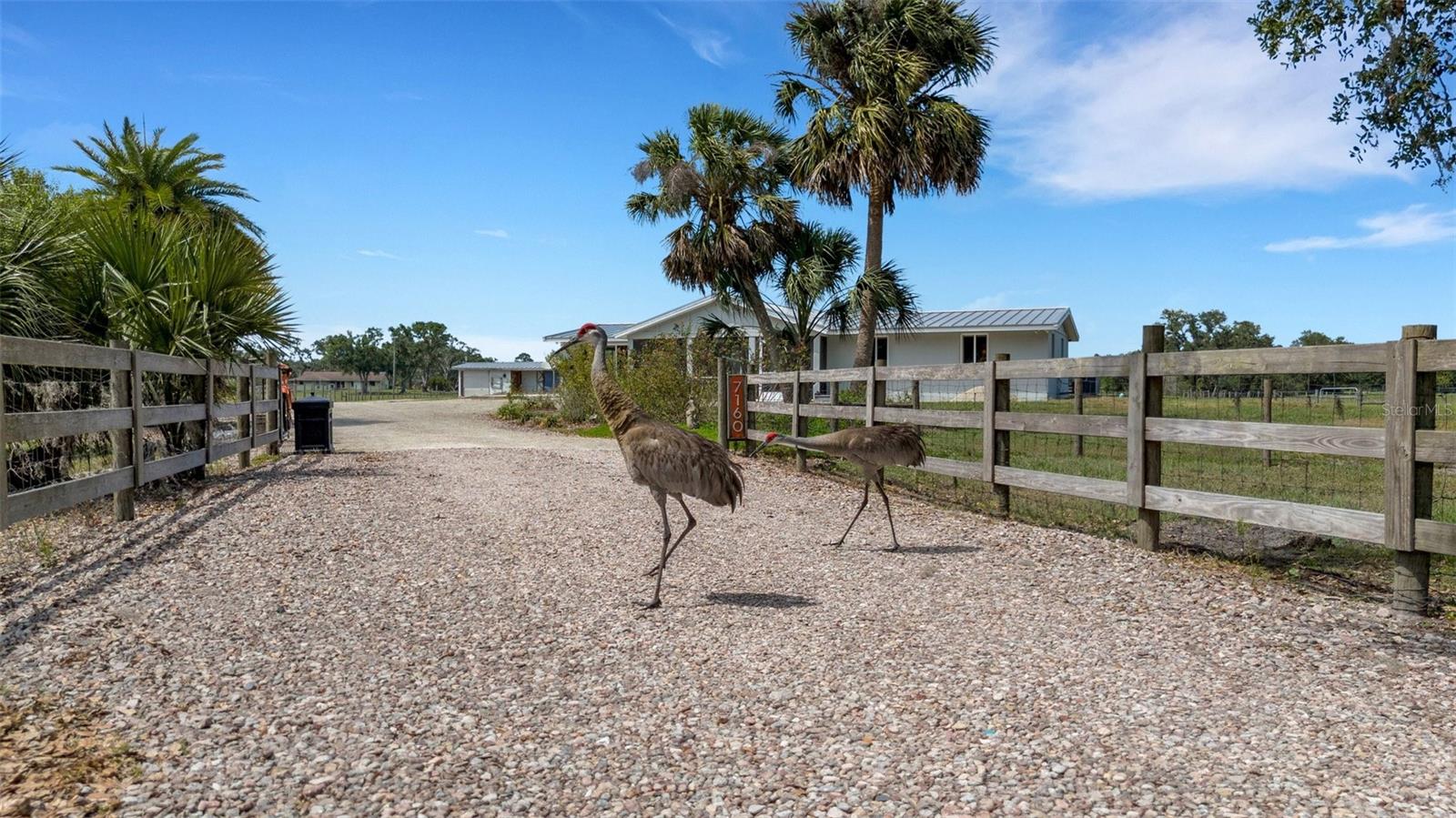 7160 MYAKKA VALLEY TRAIL