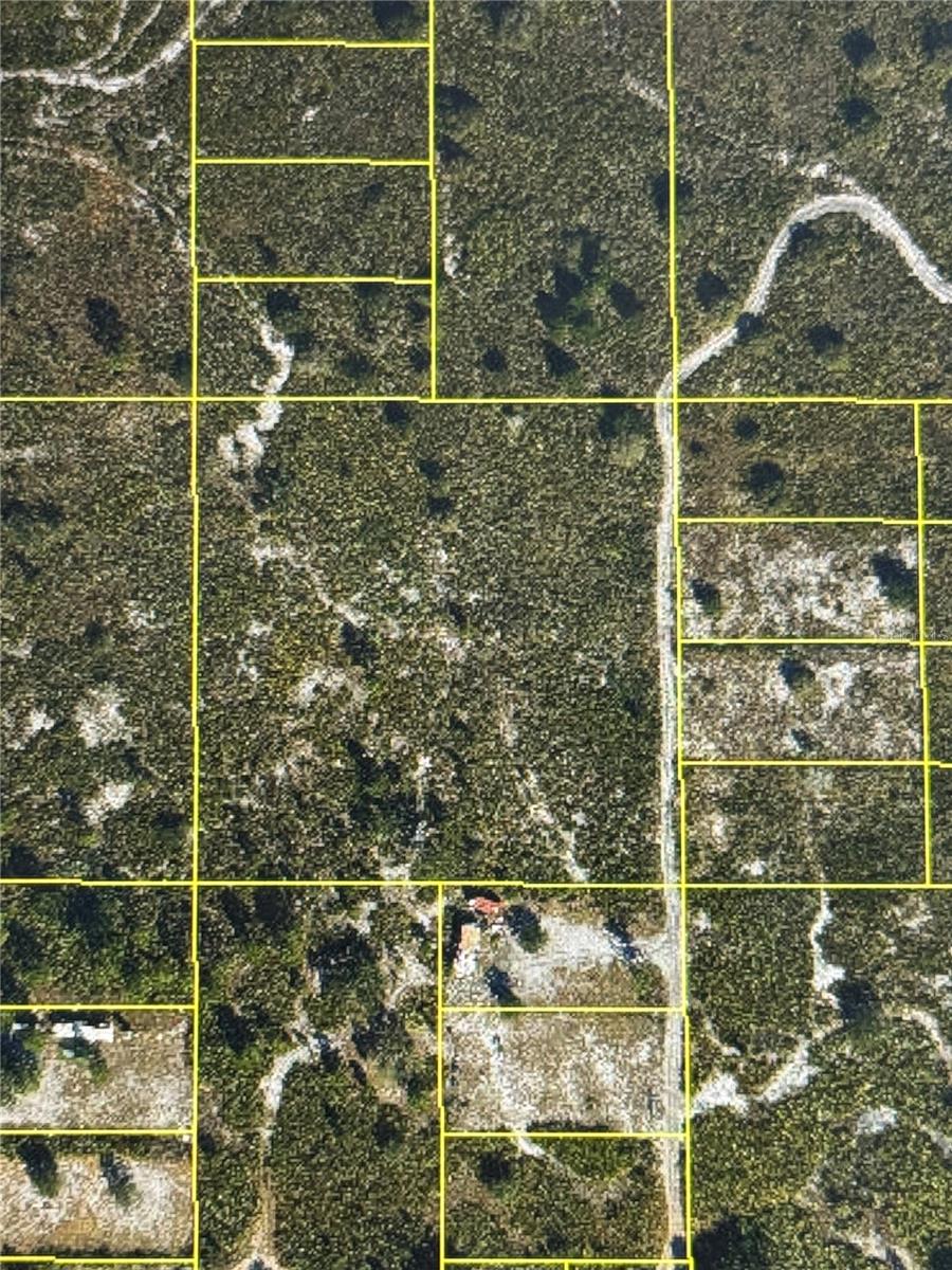 CHECK IT OUT!!This property is for recreational use only. Owning a lot in Suburban Estates gives you access to a key for the main gate and entry to Suburban Estates. Suburban Estates covers over 11,000+ acres of land which is known for camping, fourwheeling, fishing, hunting, etc. This is not a buildable lot. Owner does not have key to gate. Please call agent if you are not familiar with Suburban Estates. Due to the nature of this type of property, showings are not given by listing agent. You may use the coordinates provided to view the aerials that are available on Google earth or visit the Osceola County Property Appraisers website to get an overview of the area.