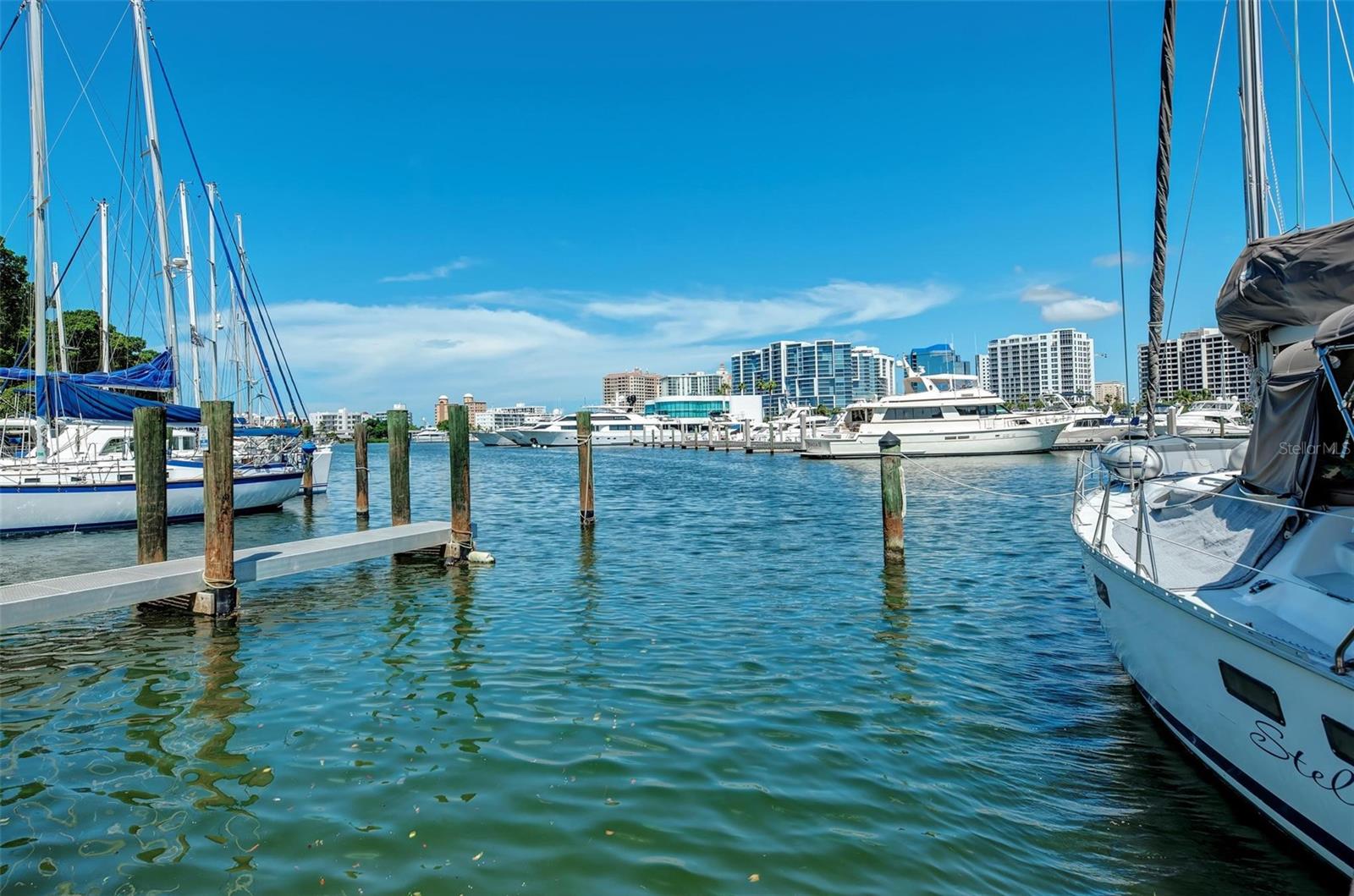 MARK SARASOTA CONDO - Residential