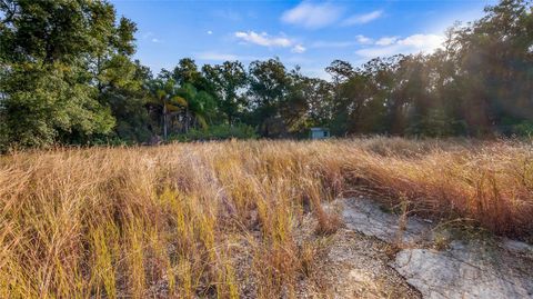 Tiny photo for 515 Us Highway 27, Clermont, FL 34715 (MLS # G5105392)
