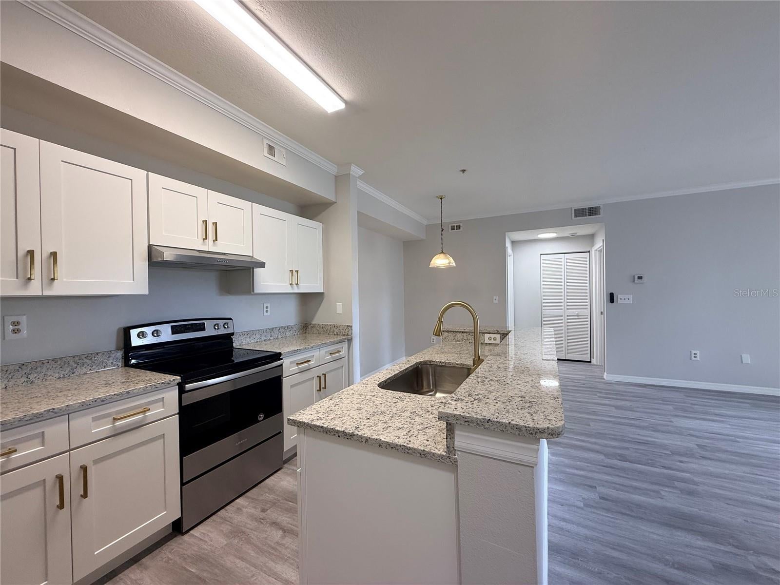 5618 PINNACLE HEIGHTS CIRCLE 305