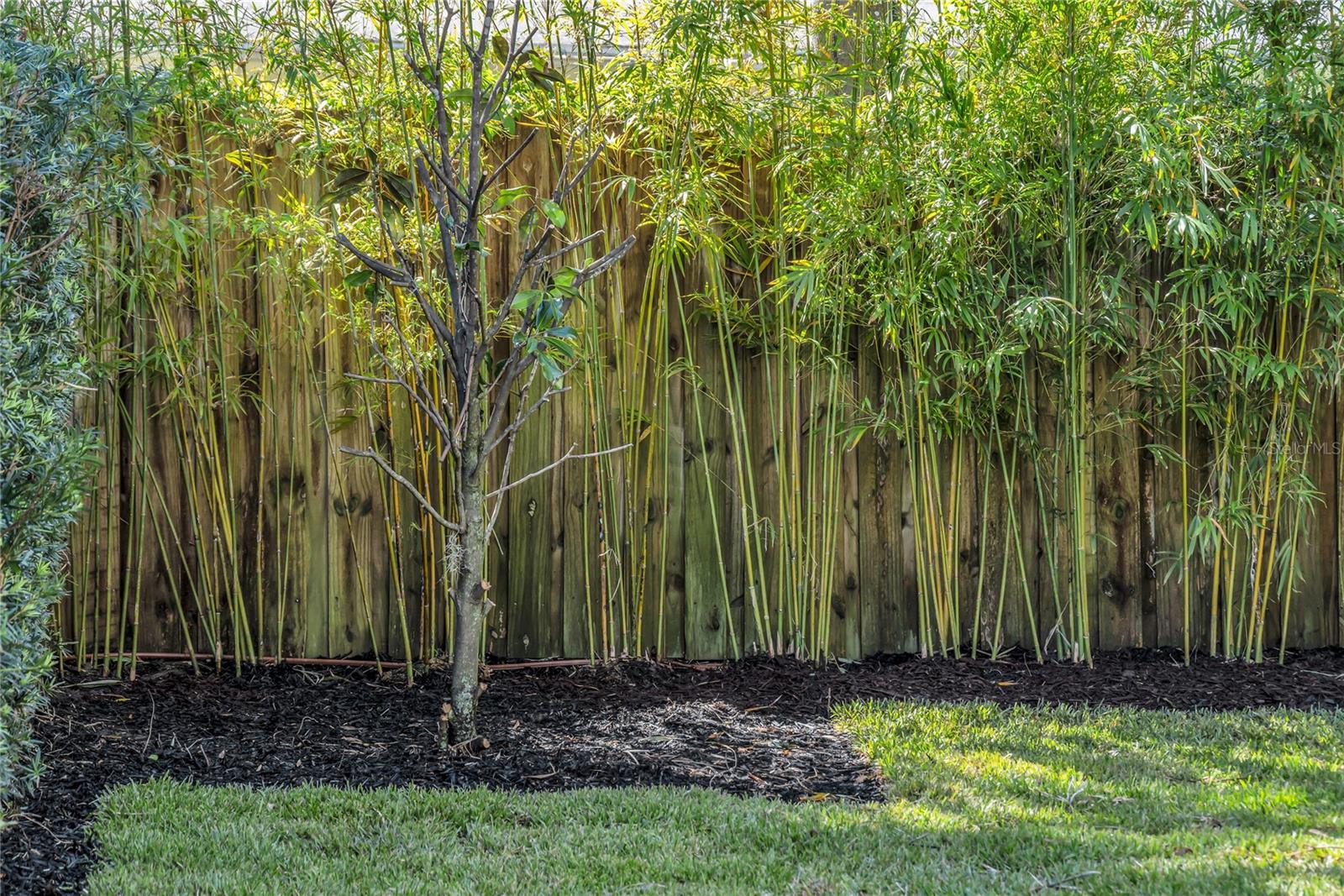 IVANHOE SHORES - Residential