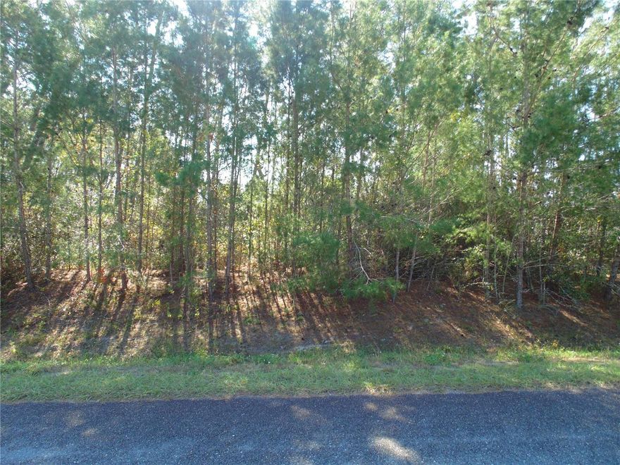 Welcome to Ocala waterways community, one of the fastest growing community of .62 acre lots. This lot is close to highway 200 which is the main area where all the shoppings are located it's also not too far from the world equestrian and from beautiful horse farms and rainbow springs, come take a look at it you fall in love with the area and build your beautiful new dream home