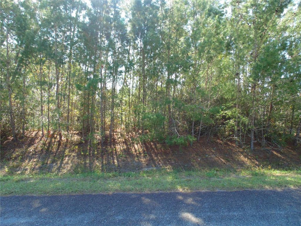 Photo of 112, Ocala, FL 34476 (MLS # OM713502)