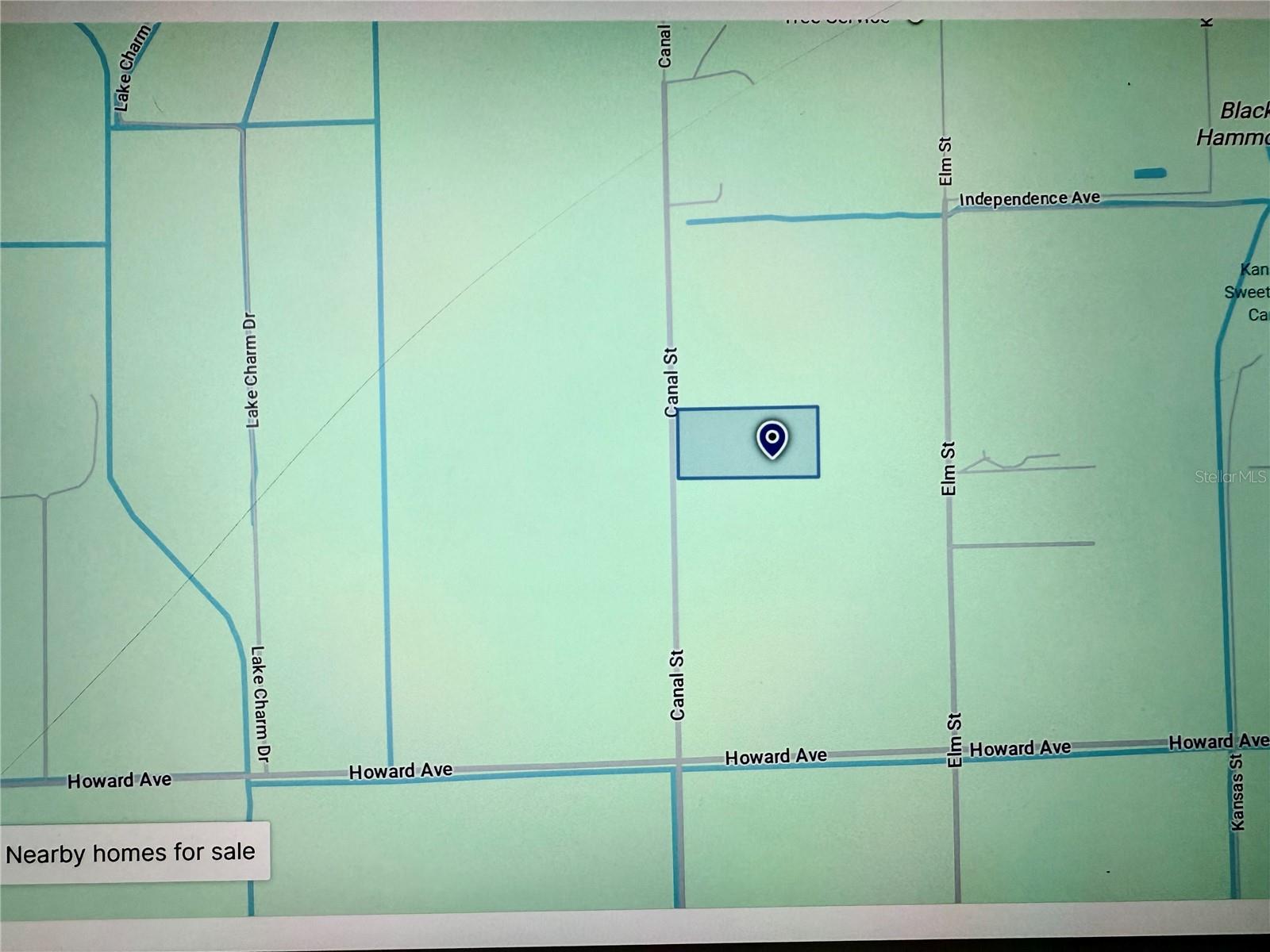 BLACK HAMMOCK - Land