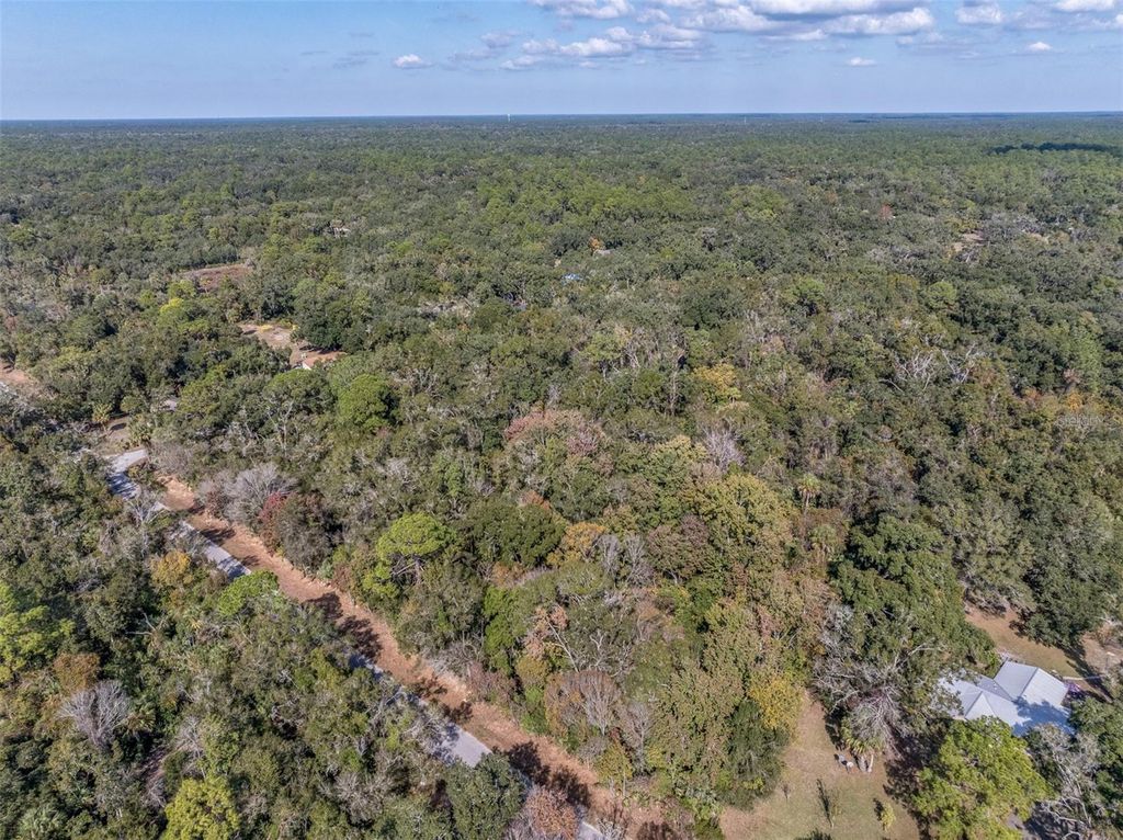 Photo of 12298 W Marjoram Place, Crystal River, FL 34428 (MLS # OM713909)