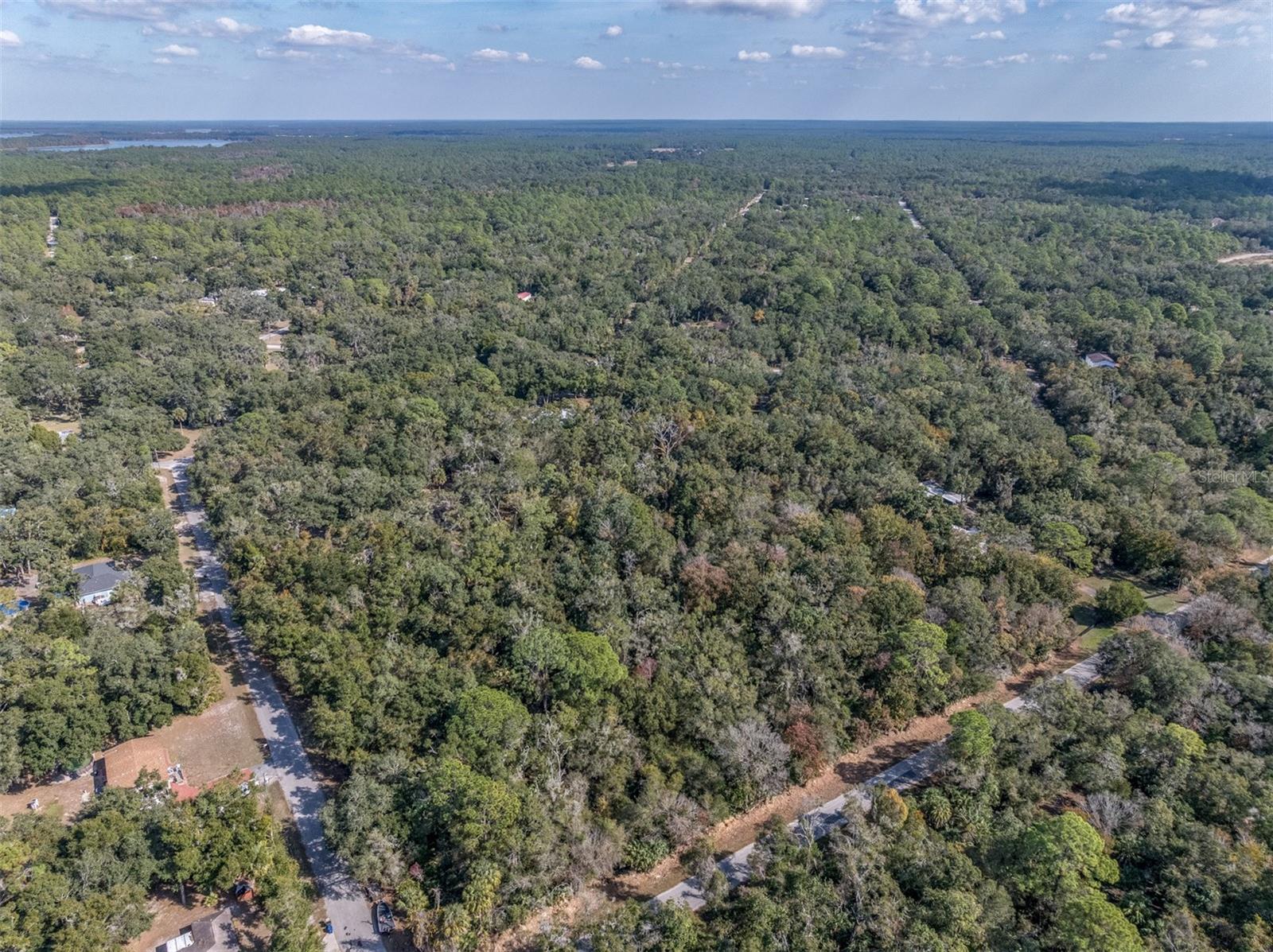 12298 W MARJORAM PLACE