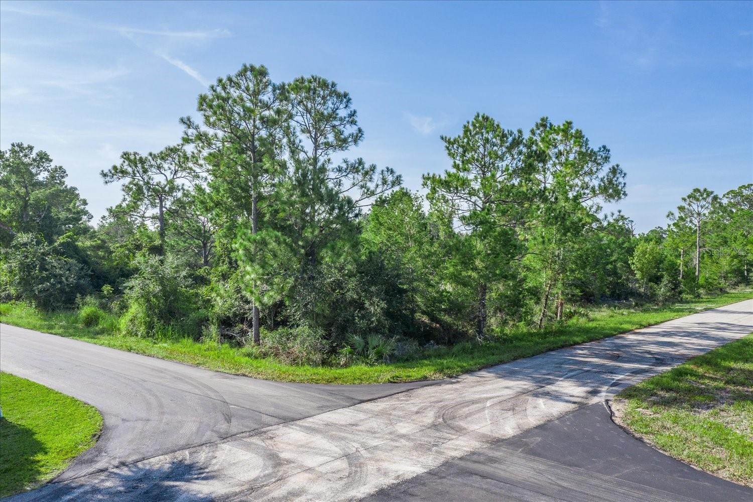 Don't miss this incredible opportunity to own a prime corner lot in the desirable Placid Lakes community! This beautifully wooded parcel is nestled among established homes and offers paved road access on two sides. With just under a quarter-acre of land, there's plenty of space to build your custom dream home in a quiet, residential setting. Enjoy nearby access to Lake June, Lake Placid, and the Placid Lakes Airport, as well as golfing, shopping, and dining options—all just a short drive away. Whether you're planning to build now or invest for the future, this lot offers the perfect blend of privacy, convenience, and potential.
