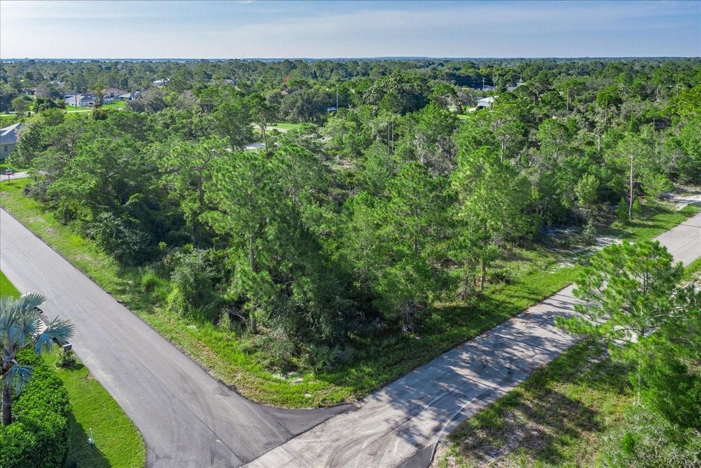 Photo of 212 Avenger Street NW, Lake Placid, FL 33852 (MLS # TB8404905)