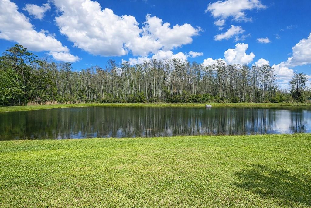 Photo of 2183 Crystal Bell Street, Orlando, FL 32824 (MLS # O6389219)