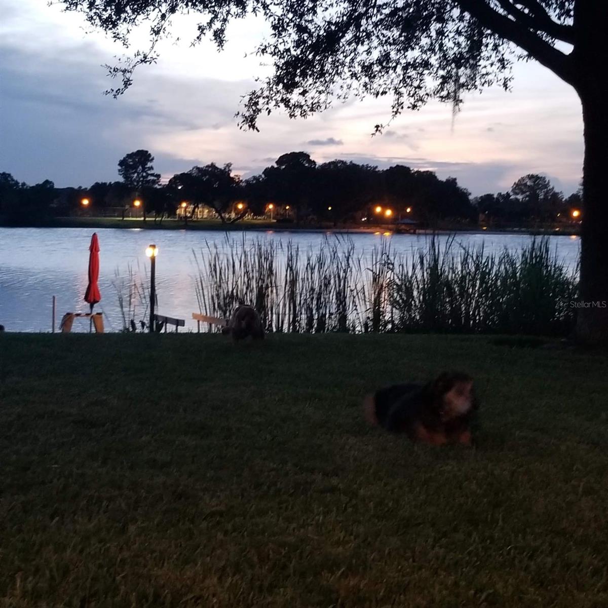 EDEN'S HAMMOCK - Residential Lease