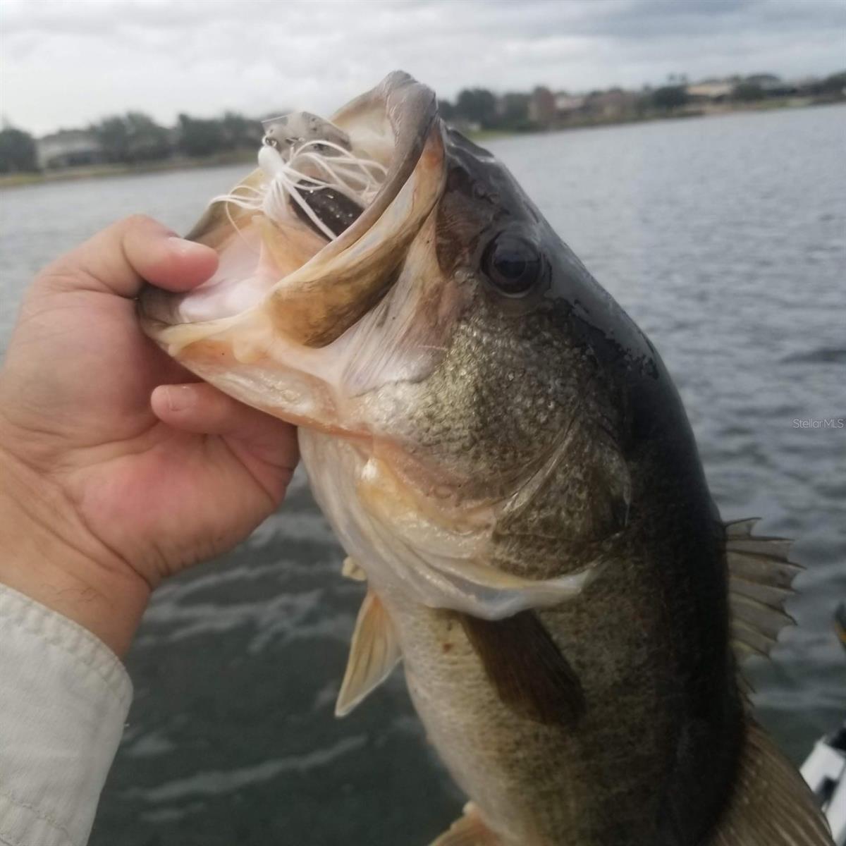 EDEN'S HAMMOCK - Residential Lease