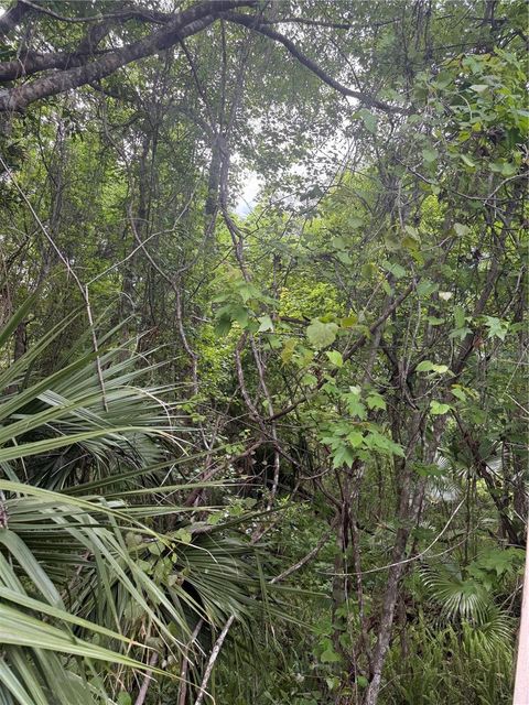 32937 THOROUGHBRED TRAIL SORRENTO FL 32776