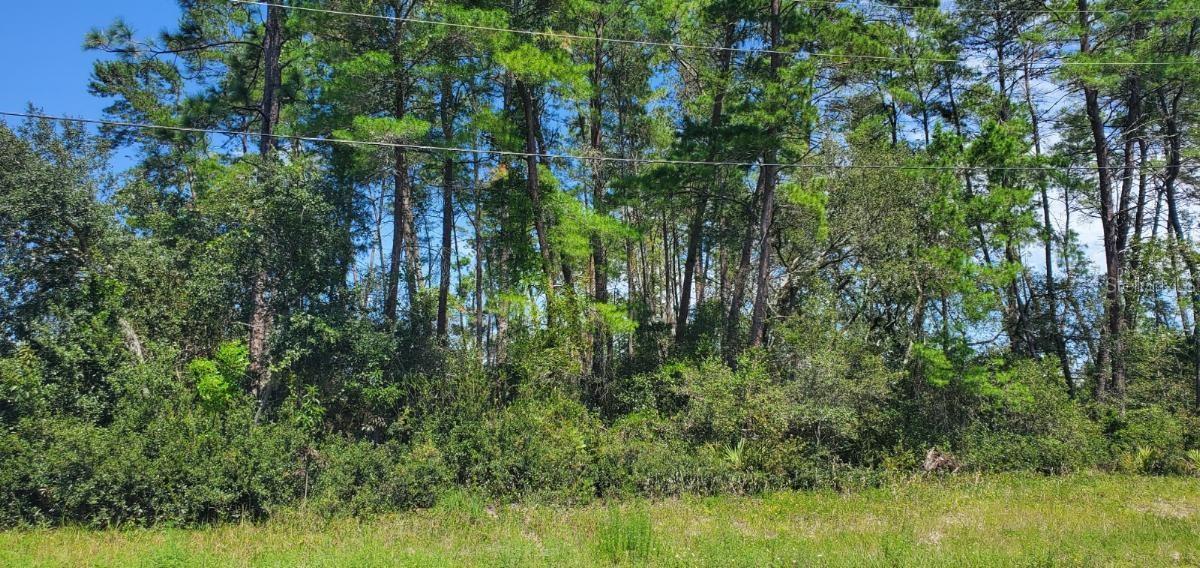 Beautiful lot in quiet residential neighborhood. Come build your dream home today.