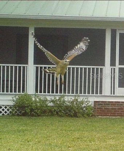 A home in DEBARY